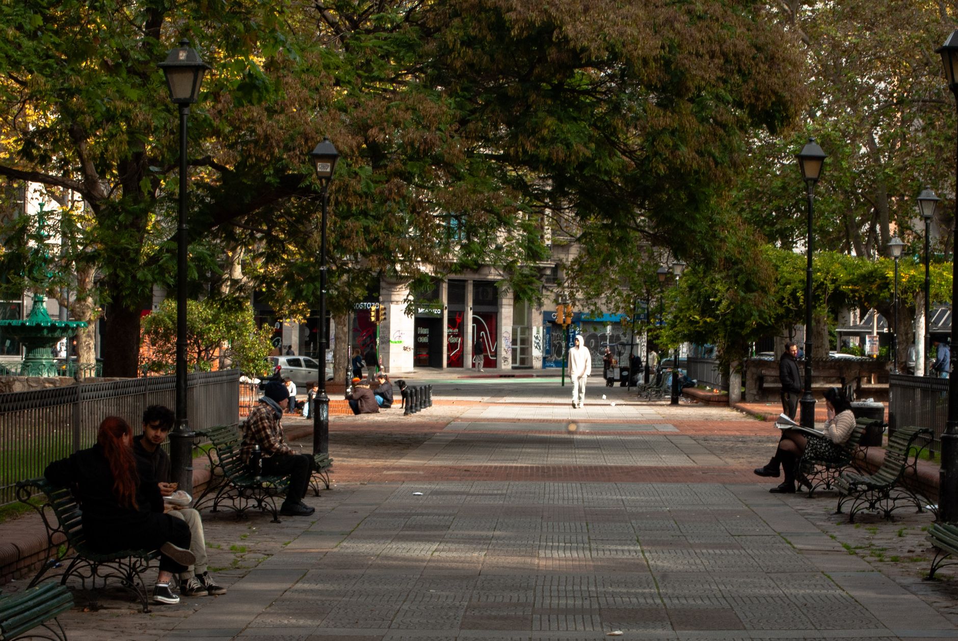 Plaza arbolada en la ciudad